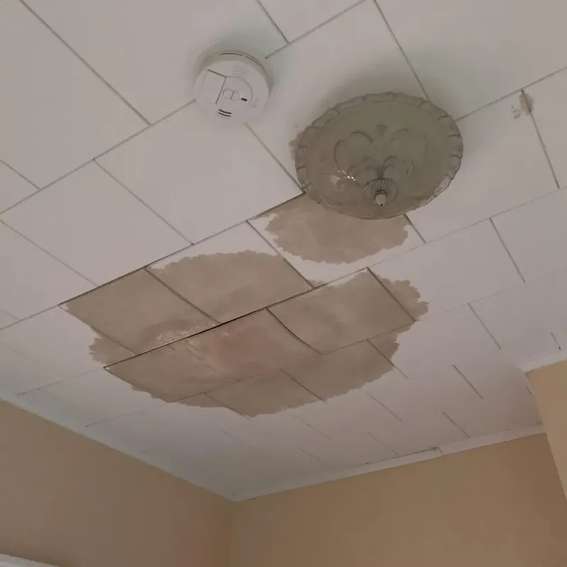 Ceiling Water Damage Repair in Huntington Station, NY